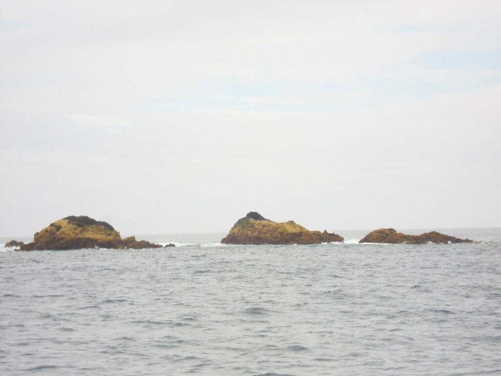 Tre scogli bassi coperti di alghe ocra emergono da un mare grigio e agitato, orlati di un po' di schiuma, sotto un cielo bianco e coperto