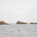 Tre scogli bassi coperti di alghe ocra emergono da un mare grigio e agitato, orlati di un po' di schiuma, sotto un cielo bianco e coperto