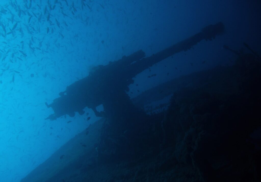 Il cannone di poppa del Thistlegorm in controluce sul blu, sotto un banco di pesciolini