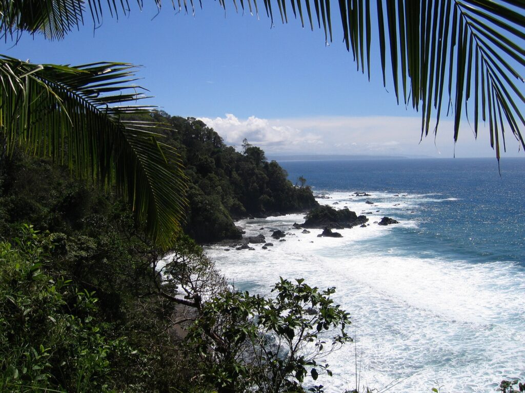 Vista dall'alto incorniciata da foglie di palma: un promontorio coperto di foresta tropicale scende in mare, le onde schiumano su rocce nere e una costa lontana si disegna all'orizzonte sotto un cielo blu.
