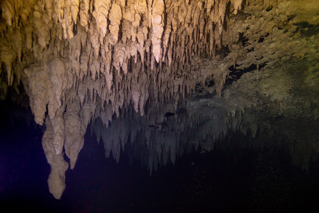 Un soffitto di stalattiti beige illuminato con la torcia, che si riflette su una superficie d'acqua nera, nel cenote The Pit