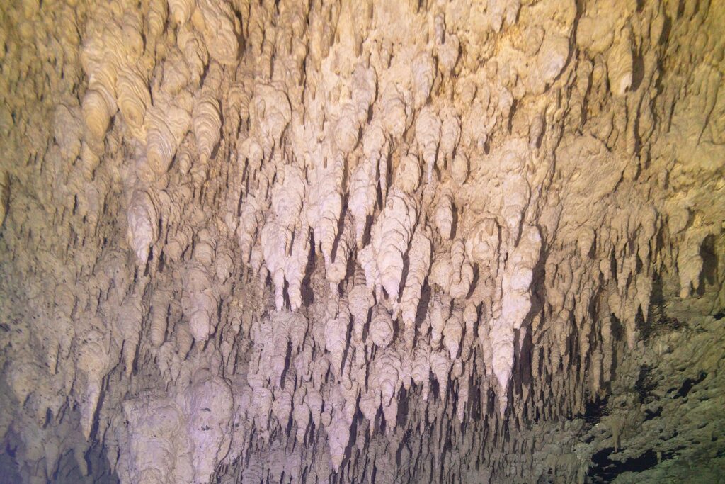Una parete di calcare coperta di centinaia di piccole stalattiti bianche e gialle, in primo piano