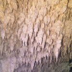 Una parete di calcare coperta di centinaia di piccole stalattiti bianche e gialle, in primo piano