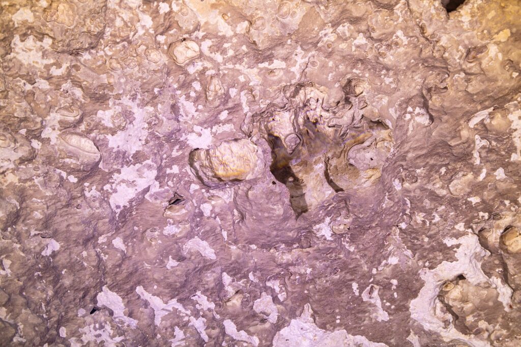 Primo piano della roccia rosa e bianca della parete del cenote, con cavità, bolle d'aria intrappolate e concrezioni