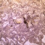Primo piano della roccia rosa e bianca della parete del cenote, con cavità, bolle d'aria intrappolate e concrezioni