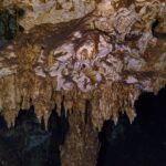 Un soffitto di calcare marrone e bianco irto di stalattiti corte, illuminato con la torcia, nella caverna di Dos Ojos