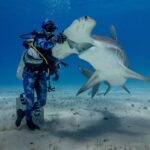 Un sub in piedi sulla sabbia posa la mano guantata sulla testa di uno squalo martello maggiore che si impenna a bocca aperta, con il ventre bianco e l'ampio martello ben visibili