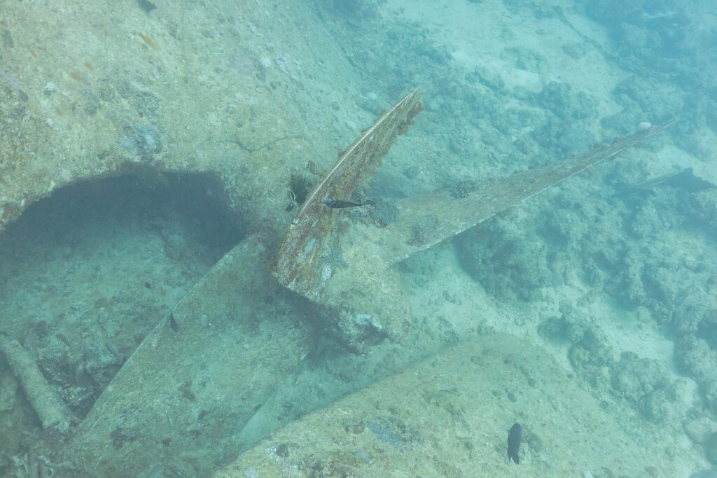 Una pala dell'elica del Thistlegorm, coperta di concrezioni, posata sulla sabbia accanto allo scafo