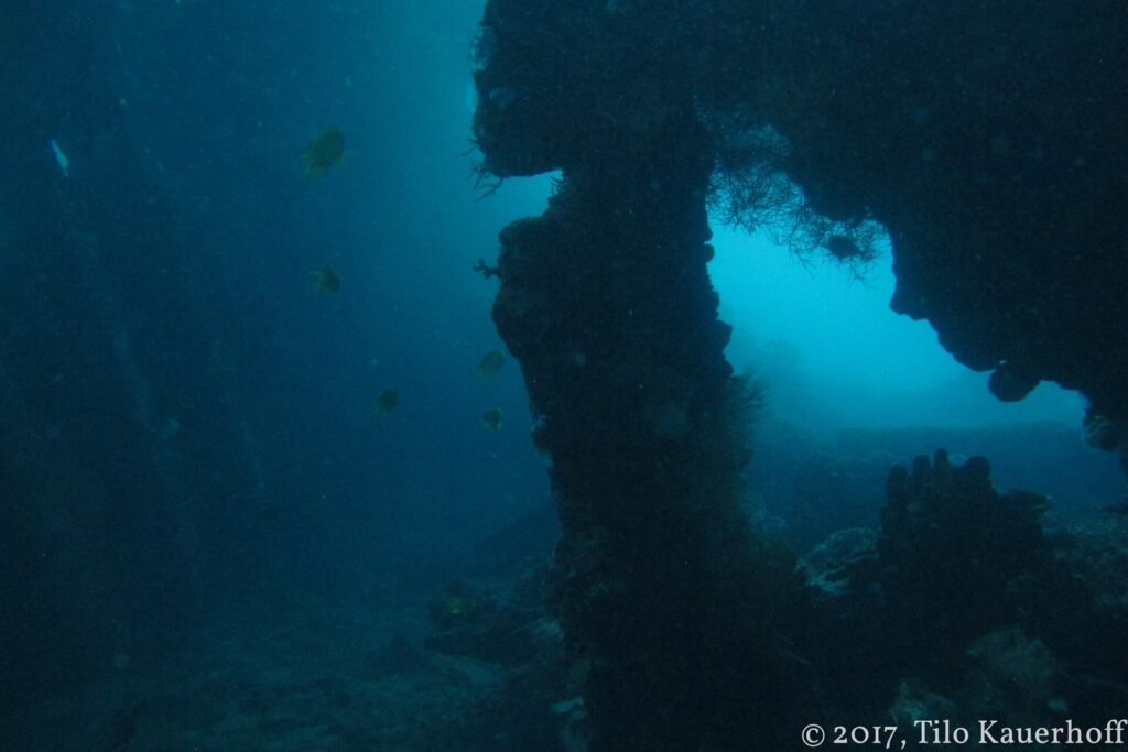 Un'apertura nella struttura scura del Liberty, con travi coperte di concrezioni e qualche pesce giallo, su un'acqua blu verde
