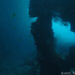 Un'apertura nella struttura scura del Liberty, con travi coperte di concrezioni e qualche pesce giallo, su un'acqua blu verde