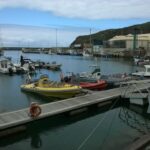 Gommoni, uno giallo con file di sedili e uno rosso, ormeggiati al pontile del porto turistico di Vila do Porto, barche a vela e pescherecci sullo sfondo sotto una scogliera verde e un cielo nuvoloso