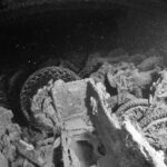 Moto accatastate nella stiva del Thistlegorm, foto in bianco e nero, con pneumatici e ruote ancora visibili