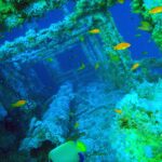 Le sovrastrutture del Numidia coperte di coralli molli, con anthias arancioni tutto intorno e un pesce angelo imperatore in primo piano, in un'acqua blu verde
