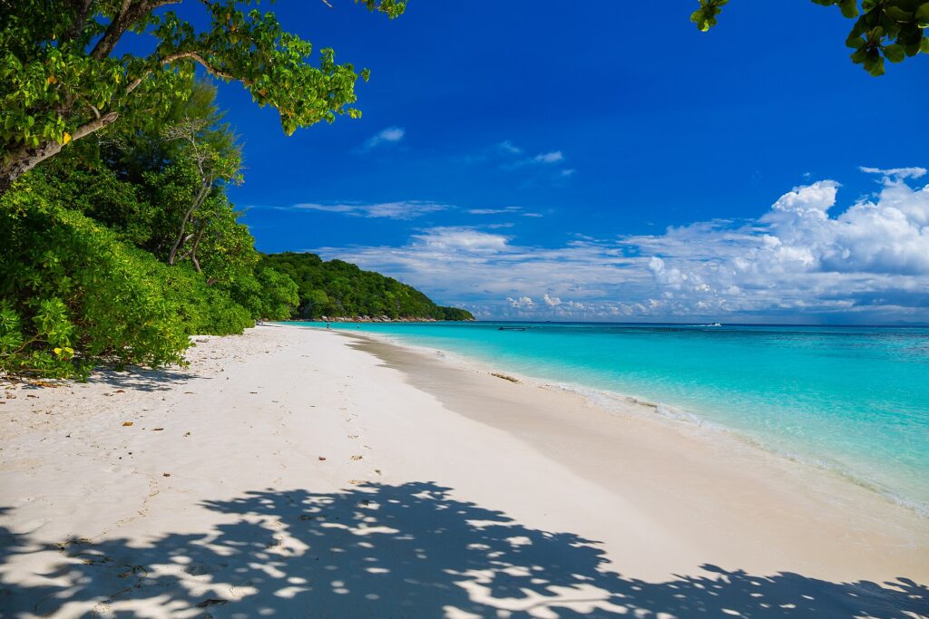 La spiaggia di sabbia bianca di Koh Tachai orlata di alberi sotto un cielo blu, con l'acqua turchese a destra e una fila di boe al largo