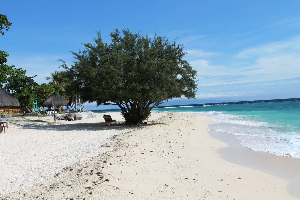 Una spiaggia di sabbia bianca dove un grande albero frondoso fa ombra a una sdraio, capanne con il tetto di paglia a sinistra e il mare turchese che si infrange dolcemente a destra, sotto un cielo azzurro.