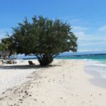 Una spiaggia di sabbia bianca dove un grande albero frondoso fa ombra a una sdraio, capanne con il tetto di paglia a sinistra e il mare turchese che si infrange dolcemente a destra, sotto un cielo azzurro.