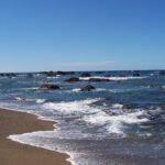 Una spiaggia di sabbia bruno dorata dove muoiono onde orlate di schiuma, davanti a un mare blu punteggiato di rocce nere fino all'orizzonte, sotto un cielo senza nuvole.