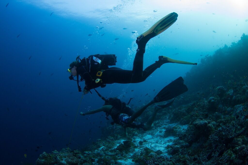 Due sub sopra un pendio di reef, uno tenuto da un reef hook, l'altro in pantaloncini, in un'acqua blu piena di pesciolini