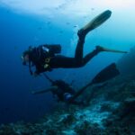 Due sub sopra un pendio di reef, uno tenuto da un reef hook, l'altro in pantaloncini, in un'acqua blu piena di pesciolini