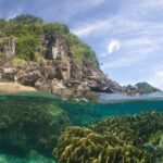 Vista metà fuori e metà sott'acqua: sotto la superficie un grande ammasso di corallo a foglie giallo-verde in un'acqua turchese limpida, sopra una costa di rocce scure coperta di vegetazione sotto un cielo azzurro velato.