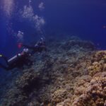 Due sub costeggiano la parete esterna del Blue Hole, coperta di coralli duri e anthias, con il blu profondo a sinistra