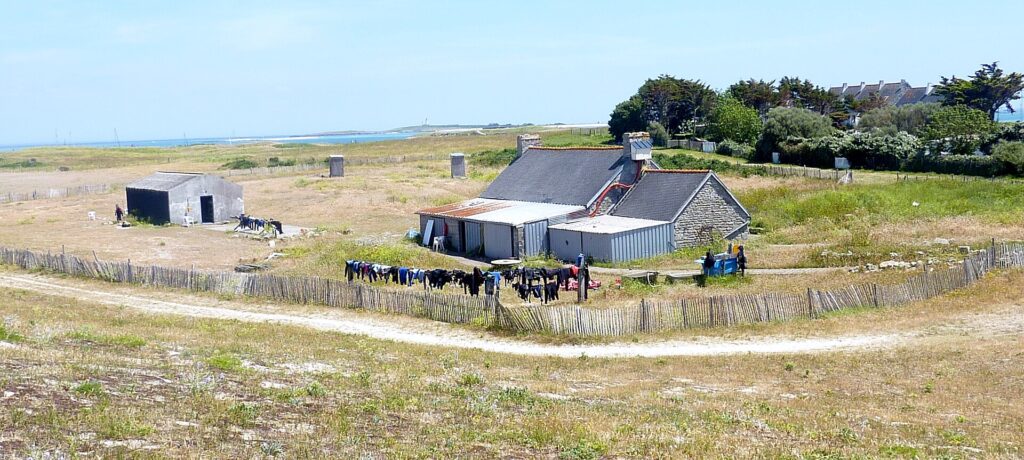 Una casa lunga in pietra con il tetto di ardesia prolungata da annessi in lamiera, davanti alla quale una lunga fila di mute si asciuga su una staccionata di paletti, in mezzo a una landa rasa, con il mare e un faro in lontananza.