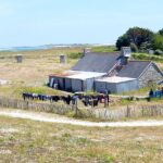 Una casa lunga in pietra con il tetto di ardesia prolungata da annessi in lamiera, davanti alla quale una lunga fila di mute si asciuga su una staccionata di paletti, in mezzo a una landa rasa, con il mare e un faro in lontananza.