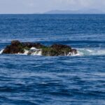 La cima di Richelieu Rock emerge con la bassa marea, una roccia scura coperta di alghe verdi battuta dalle onde, con le isole Surin all'orizzonte