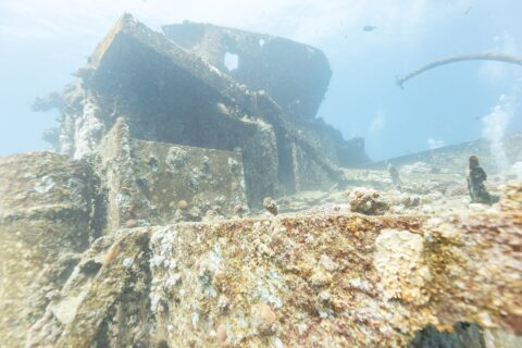 Le sovrastrutture di prua del Thistlegorm coperte di coralli duri, viste dal ponte
