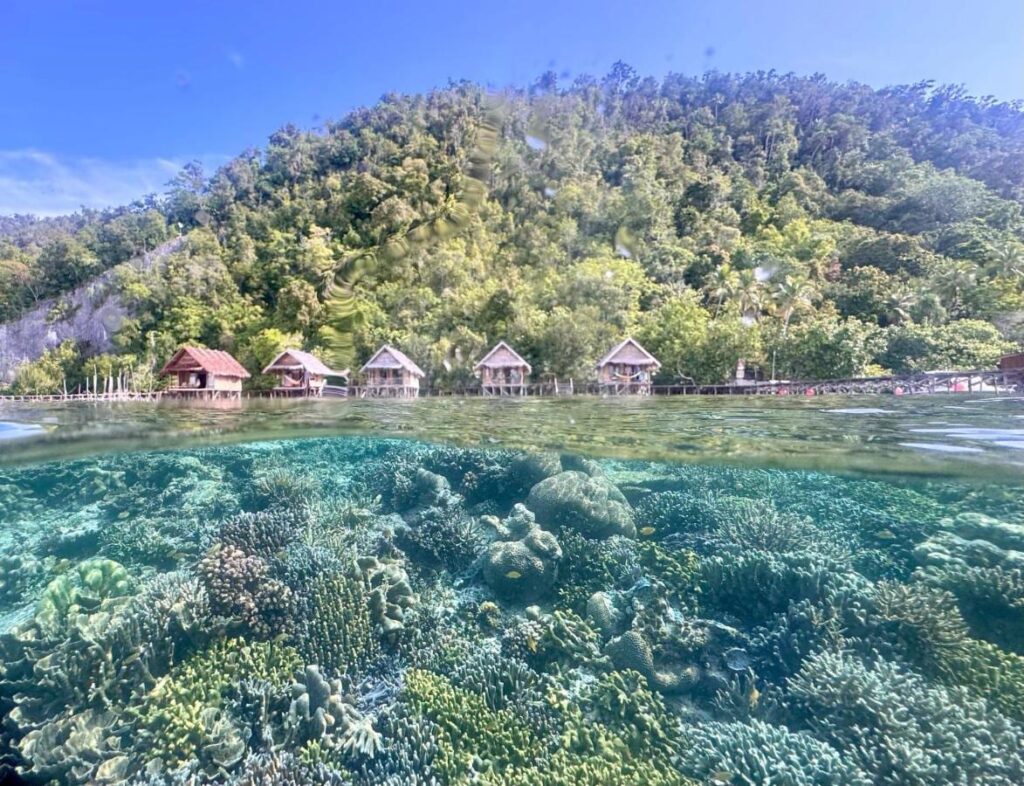 La barriera corallina sotto la superficie e i bungalow su palafitte del Terimakasih Homestay, ai piedi di una collina boscosa