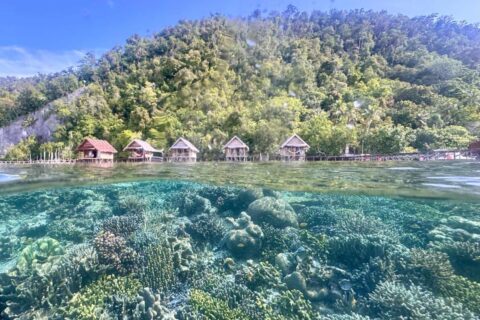 La barriera corallina sotto la superficie e i bungalow su palafitte del Terimakasih Homestay, ai piedi di una collina boscosa