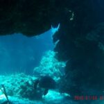 Una tartaruga posata sulla sabbia sotto uno strapiombo di corallo a Palancar, con gorgonie in primo piano e il blu dietro