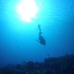 La sagoma di un sub che scende a testa in giù verso il reef di Palancar Gardens, con il sole in controluce in superficie e gorgonie sul fondo