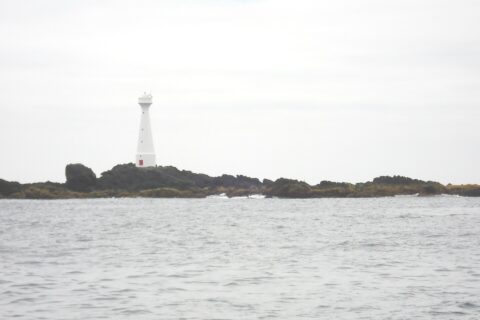 Un faro bianco slanciato con la porta rossa si erge sull'isolotto basso e roccioso di Formigão, rocce scure orlate di alghe brune, sopra un mare grigio e agitato sotto un cielo coperto