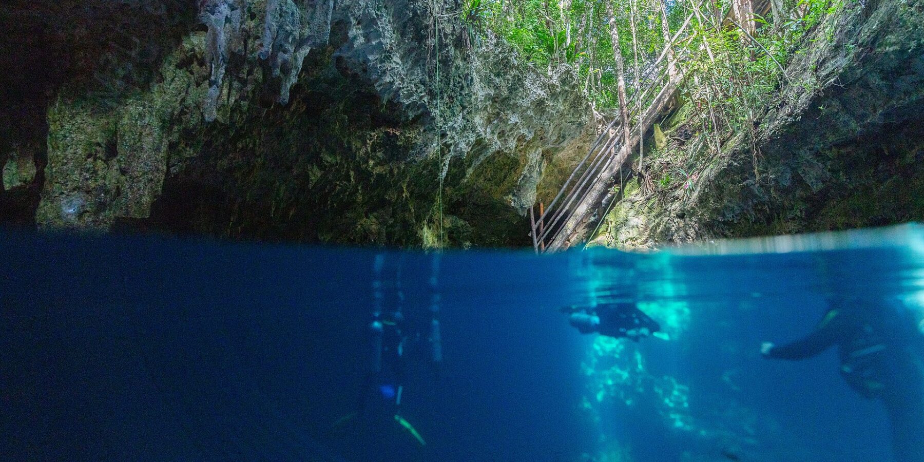 Vista metà fuori e metà sott'acqua all'ingresso del cenote The Pit: la volta di calcare e la scala di legno sotto la giungla in alto, due sub nell'acqua blu profondo in basso