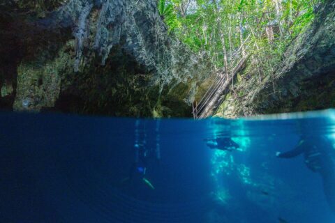 Vista metà fuori e metà sott'acqua all'ingresso del cenote The Pit: la volta di calcare e la scala di legno sotto la giungla in alto, due sub nell'acqua blu profondo in basso