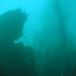 In un'acqua verde turchese torbida, la sagoma scura di un relitto con l'albero coperto di coralli frusta che si erge a destra, sopra una sovrastruttura incrostata.